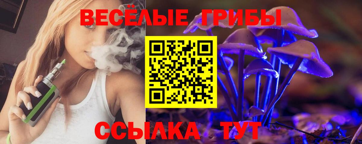 дарнет шоп  Галлюциногенные грибы ЛСД  Вход с VPN  Озёрск 